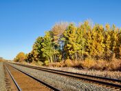 Autumn Down the Tracks