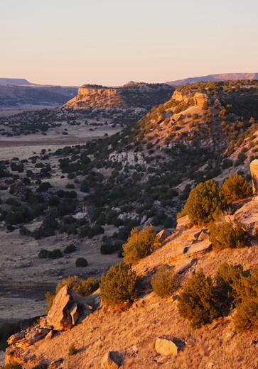 Comanche National Grassland