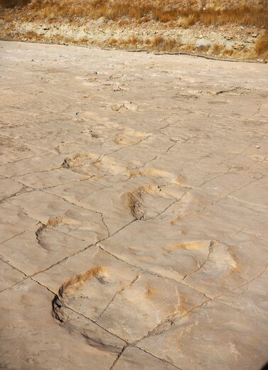 Comanche National Grassland