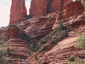 Coconino National Forest
