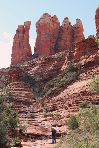 Coconino National Forest