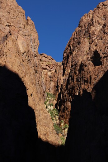 Kofa National Wildlife Refuge