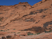 Red Rocks Canyon National Conservation Area