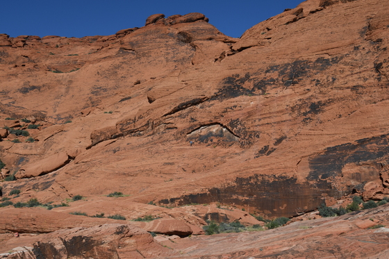 Red Rocks Canyon National Conservation Area