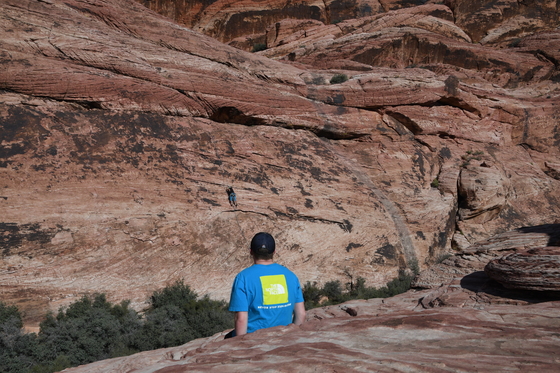 Red Rock Canyon NCA