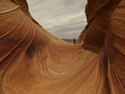 The Wave 