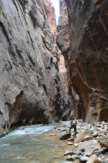 Zion National Park