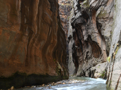 Zion National Park 