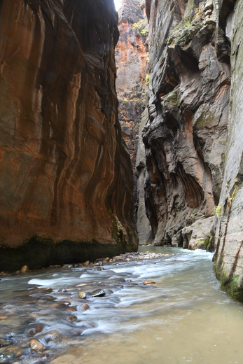 Zion National Park 