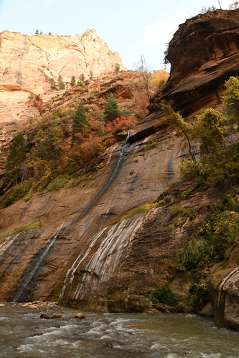 Zion National Park