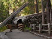 Sequoia National Park