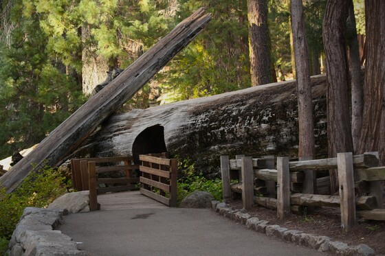 Sequoia National Park
