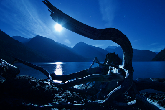 Ross Lake National Recreation Area