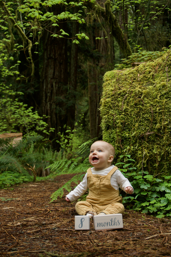 Redwood National Park