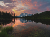 Mt. Baker-Snoqualmie National Forest