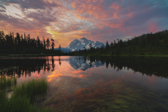 Mt. Baker-Snoqualmie National Forest