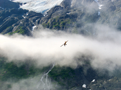 Kenai Fjords National Park