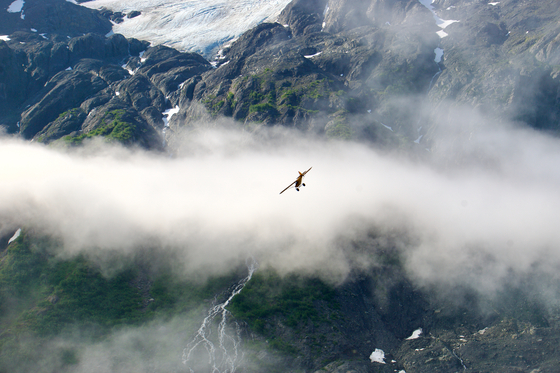 Kenai Fjords National Park