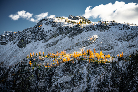 Okanogan-Wenatchee National Forest