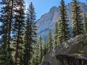 Sawtooth National Forest