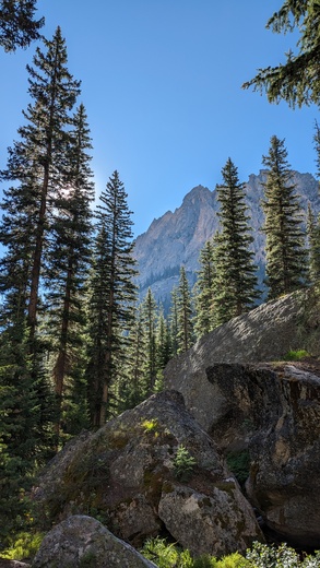 Sawtooth National Forest