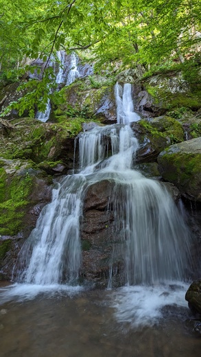 Shenandoah National Park