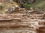 Turkey Creek, Safford Field Office