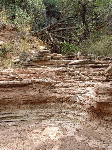 Turkey Creek, Safford Field Office