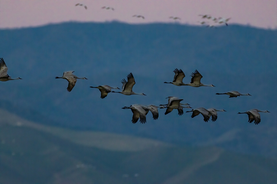 San Joaquin River National Wildlife Refuge