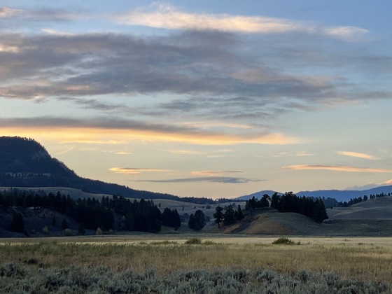 Yellowstone National Park