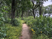 Indiana Dunes National Park
