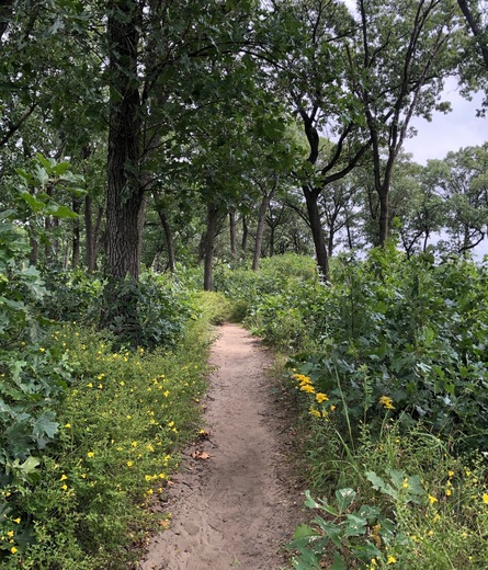Indiana Dunes National Park