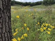 Indiana Dunes National Park