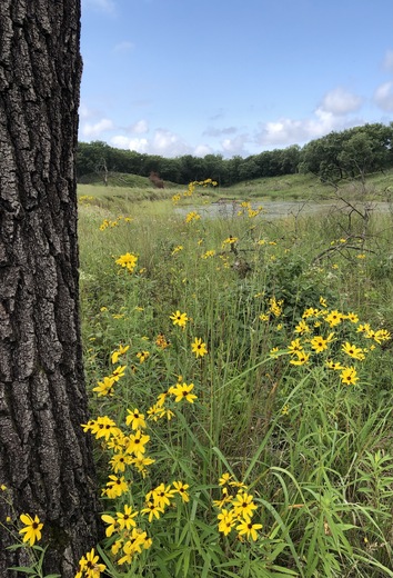 Indiana Dunes National Park