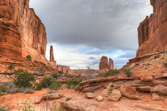 Arches National Park