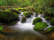 Great Smoky Mountains National Park