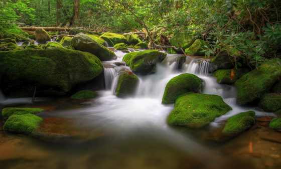 Great Smoky Mountains National Park