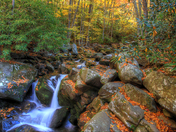 Great Smoky Mountains National Park