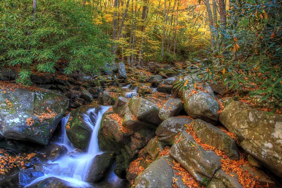 Great Smoky Mountains National Park