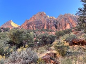 Zion National Park 