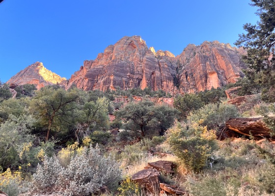 Zion National Park 