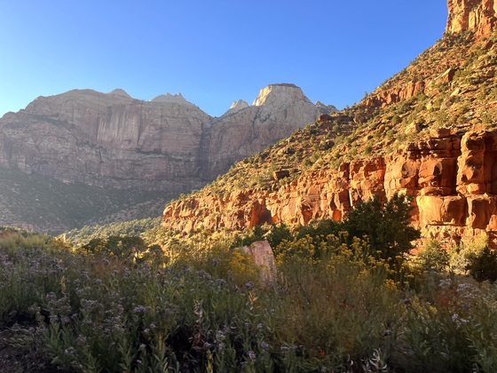 Zion National Park 