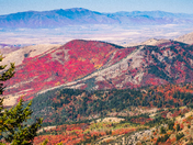 Cache National Forest