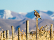 Bear Lake National Wildlife Refuge