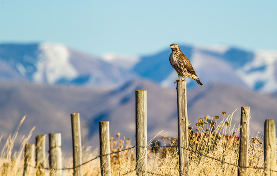 Bear Lake National Wildlife Refuge