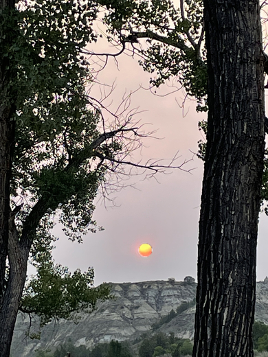 Theodore Roosevelt National Park