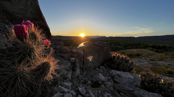 Big Bend National Park