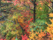Great Smoky Mountains National Park