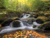 Great Smoky Mountains National Park