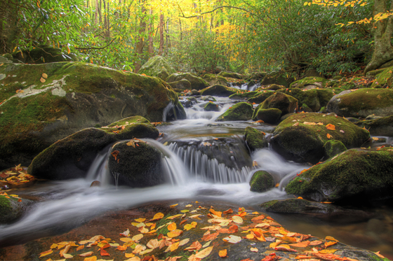 Great Smoky Mountains National Park
